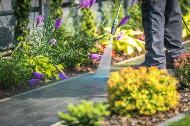 Best Building Exterior Pressure Washing in Lloyd Harbor, NY